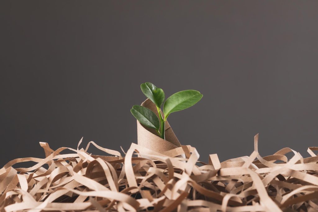 Sustainable Printing Practices That Deliver Quality and Environmental Responsibility in South Africa 2026
